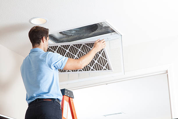 Best HVAC Cleaning Services  in Hayden, CO